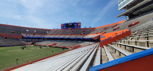 将球传给队 将球传给队