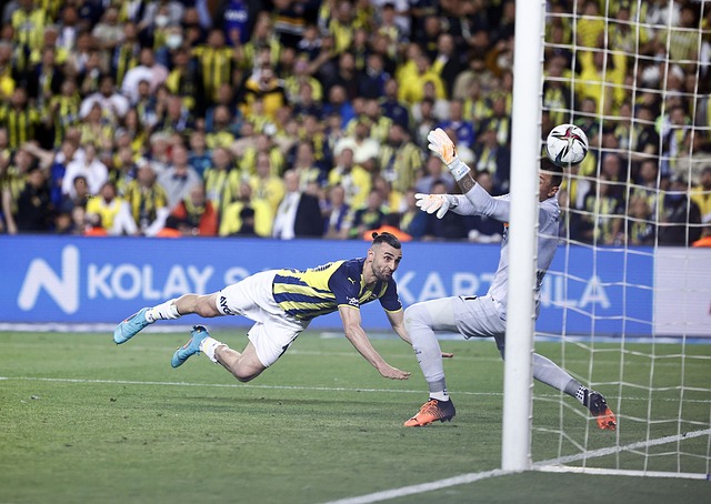 进球帮助球 进球帮助球