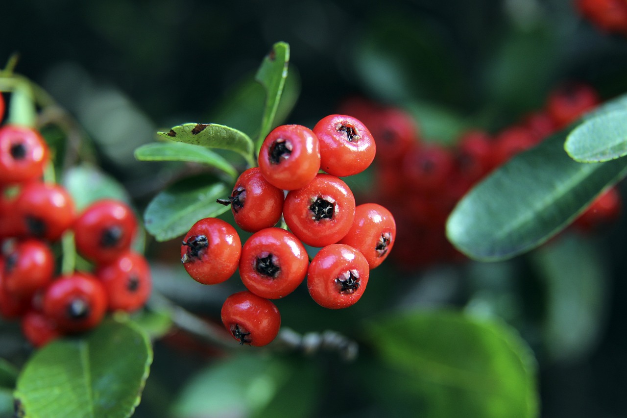 人职业生涯 人职业生涯