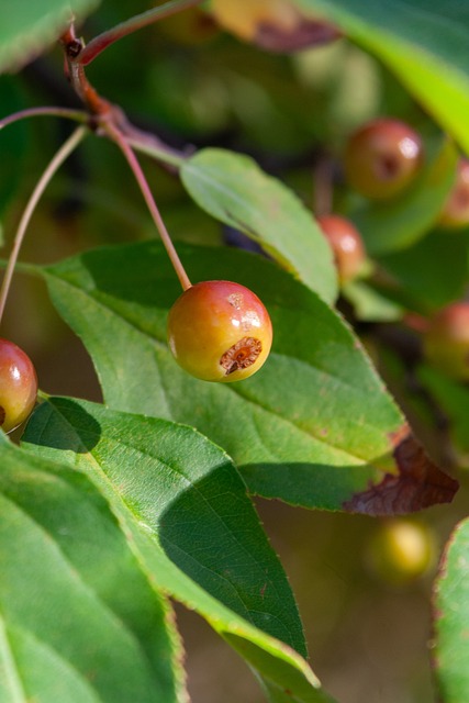 己的舞台 己的舞台