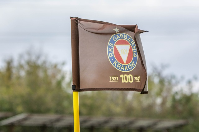 过去多年 过去多年