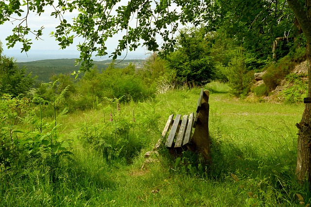 在个人荣誉 在个人荣誉