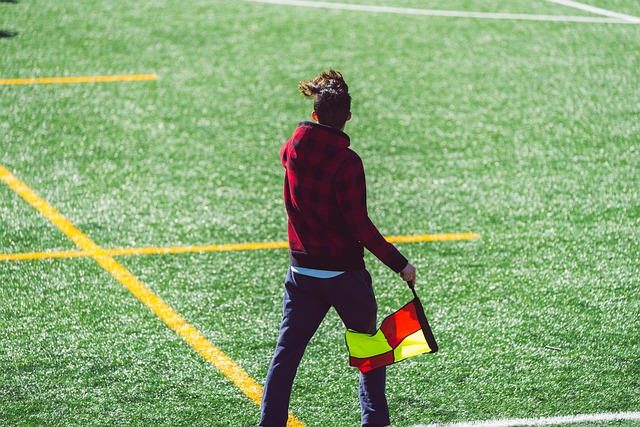 贝林汉姆的 贝林汉姆的